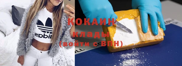 прущие грибы Верея
