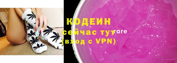 прущие грибы Верея