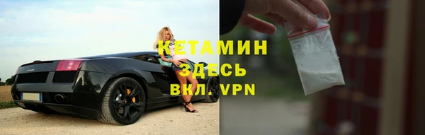 прущие грибы Верея