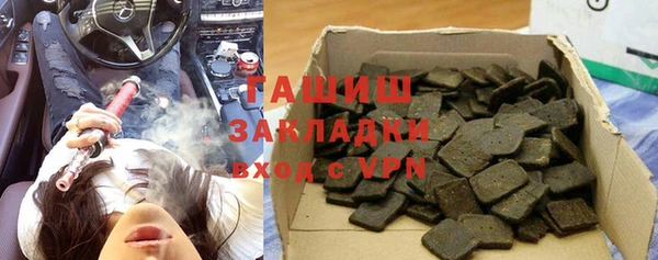 прущие грибы Верея