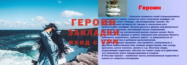 прущие грибы Верея