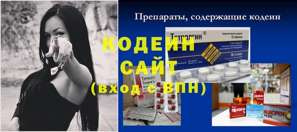 прущие грибы Верея