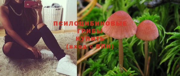 спиды Сафоново