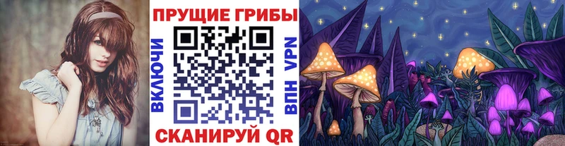 Псилоцибиновые грибы MAGIC MUSHROOMS Лихославль
